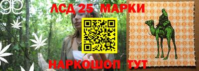 спиды Краснодар