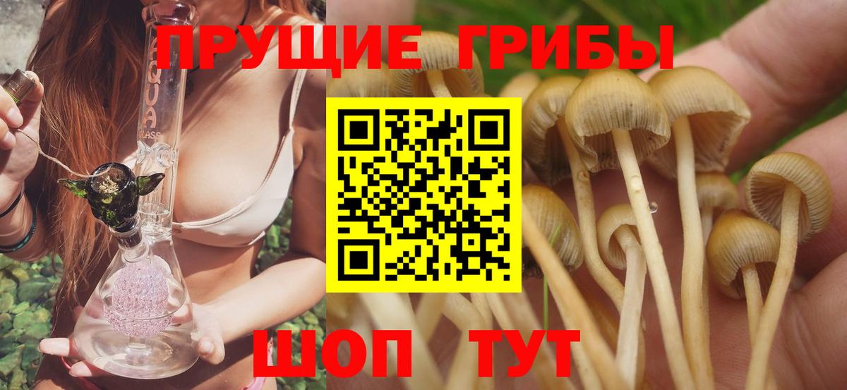 Псилоцибиновые грибы Psilocybe  Вход с VPN  Карталы 